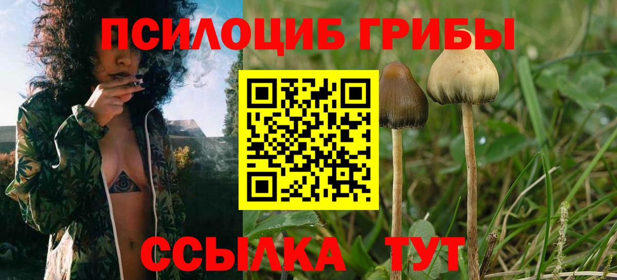 ГАШ  Минусинск  Экстази  Купить наркотики цена  Меф кристаллы  Вход с VPN  Бошки Шишки 
